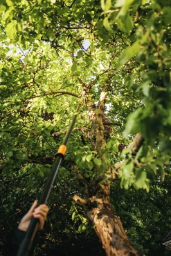 Universalklippare Stångsax Fiskars PowerGear UPX86 Teleskop