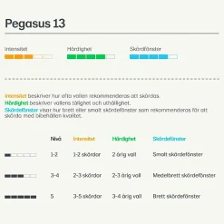 Vallfrö Lantmännen Pegasus 13 bete häst 15kg