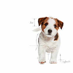 Valpfoder Royal Canin Mini Junior 2kg