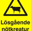 Varningsskylt 'Lösgående nötkreatur' plast gul 150x210mm
