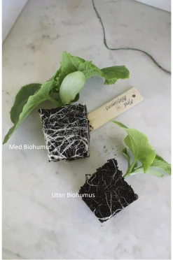 Vermikompost Nelson Garden Biohumus 5L