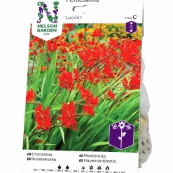 Vårlök Nelson Garden Crocosmia Lucifer Rödorange