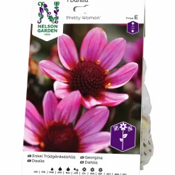 Vårlök Nelson Garden Dahlia Enkel Låg Pretty Woman Lila