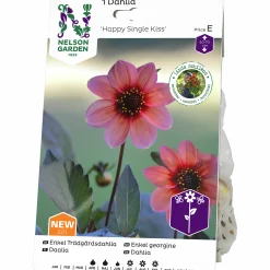 Vårlök Nelson Garden Dahlia Enkel Hög Happy Single Kiss Lax