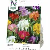 Vårlök Nelson Garden Freesia Enkel Blandade färger