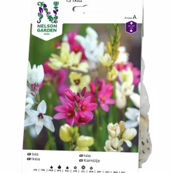 Vårlök Nelson Garden Ixia Mix