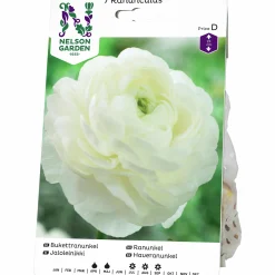 Vårlök Nelson Garden Ranunkel Vit