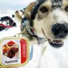 Våtfoder Appetitt Energy 150g