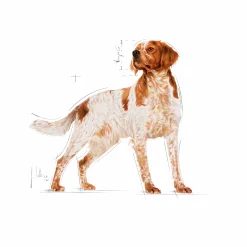 Våtfoder Royal Canin M Adult 10x140g