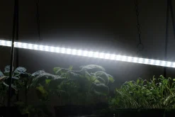 Växtbelysning Nelson Garden LED-ramp m adapter No1 23W