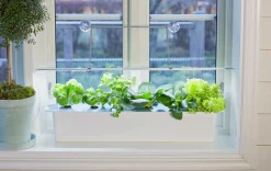 Växtbelysning Nelson Garden LED-ramp m adapter No1 15W