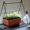 Växtbelysningsställning Nelson Garden 40cm